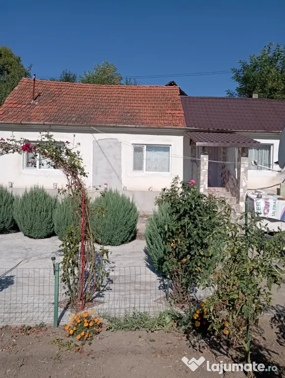 Casa de vanzare sat Sârbi comuna Ilia jud Hunedoara