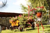 Afacere la cheie-pensiune si restaurant-in Tinutul Zimbrului 