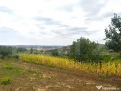Teren 8840 mp intravilan Uricani, la strada asfaltata 