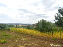 Teren 8840 mp intravilan Uricani, la strada asfaltata