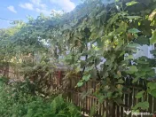 Proprietate cu 2 case, 2.100 mp teren și multiple anexe