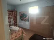 Proprietate cu 2 case, 2.100 mp teren și multiple anexe