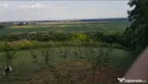 Teren intravilan categoria curți-construcții 1000mp