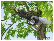 Foarfece de tăiat crengi fără fir Parkside 20V, model PPAAS 20-Li 
