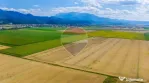Comision 0% | Teren extravilan agricol 20.000 mp | Cristi...