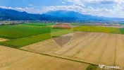 Comision 0% | Teren extravilan agricol 20.000 mp | Cristi... 