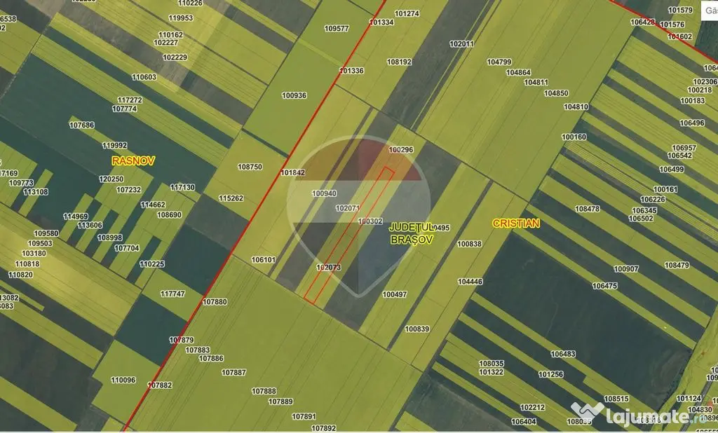 Comision 0% | Teren extravilan agricol 20.000 mp | Cristi... - Cristian (Brasov)