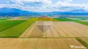 Comision 0% | Teren extravilan agricol 20.000 mp | Cristi... 