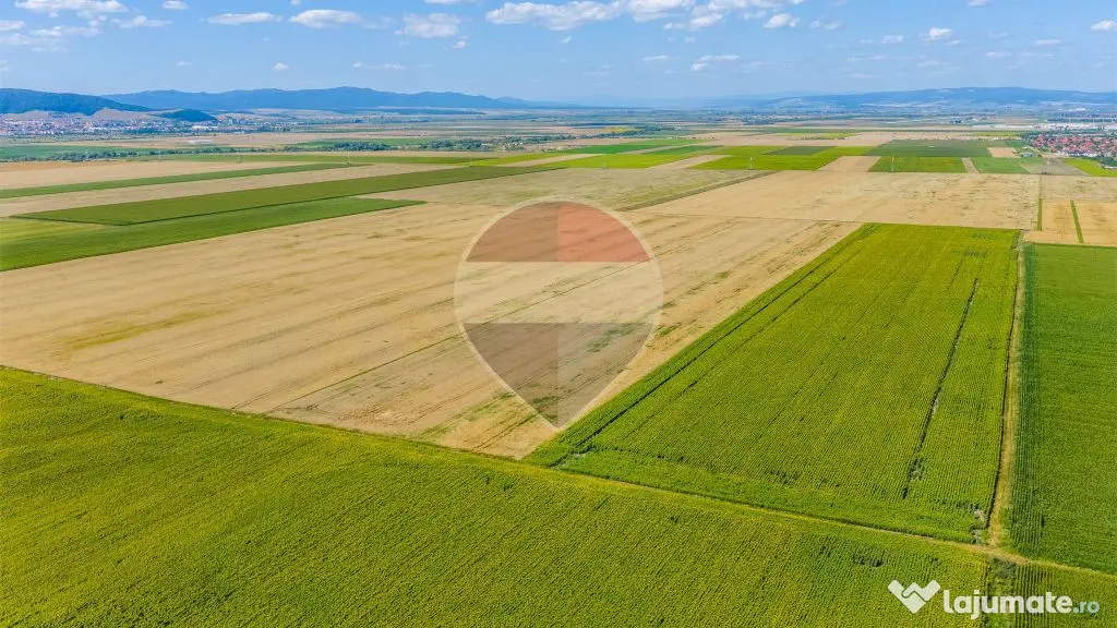 Comision 0% | Teren extravilan agricol 20.000 mp | Cristi... - Cristian (Brasov)