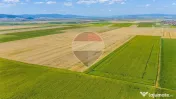 Comision 0% | Teren extravilan agricol 20.000 mp | Cristi... 