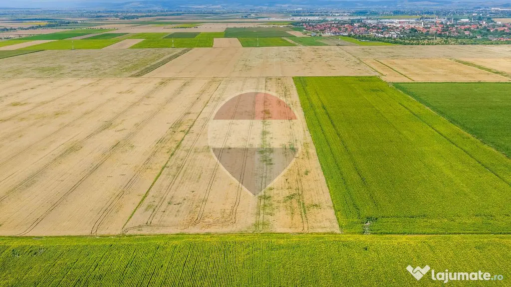 Comision 0% | Teren extravilan agricol 20.000 mp | Cristi... - Cristian (Brasov)