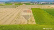 Comision 0% | Teren extravilan agricol 20.000 mp | Cristi... 