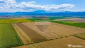Comision 0% | Teren extravilan agricol 20.000 mp | Cristi... 