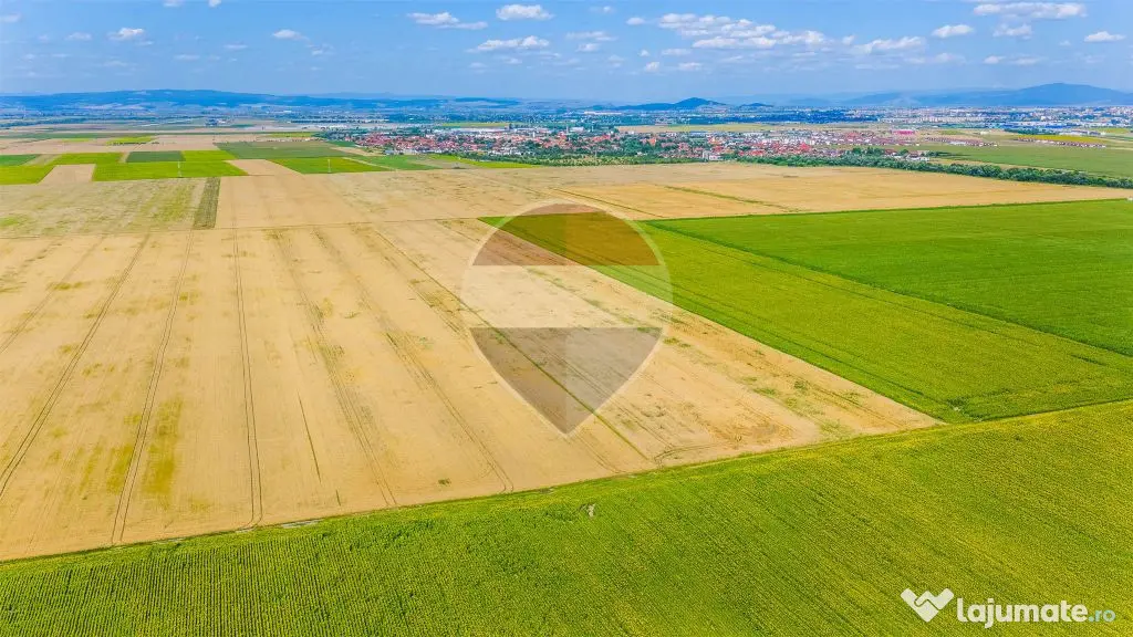 Comision 0% | Teren extravilan agricol 20.000 mp | Cristi... - Cristian (Brasov)