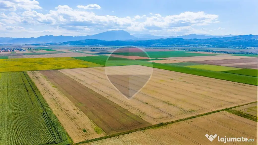 Comision 0% | Teren extravilan agricol 20.000 mp | Cristi... - Cristian (Brasov)