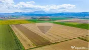 Comision 0% | Teren extravilan agricol 20.000 mp | Cristi... 