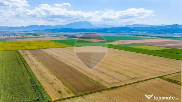 Comision 0% | Teren extravilan agricol 20.000 mp | Cristi... - Cristian (Brasov)