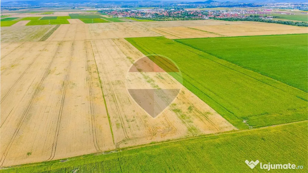 Comision 0% | Teren extravilan agricol 20.000 mp | Cristi... - Cristian (Brasov)