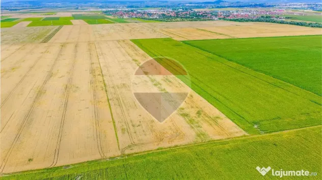 Comision 0% | Teren extravilan agricol 20.000 mp | Cristi... - Cristian (Brasov)