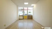 Spatiu Comercial Stradal | Harmanului 