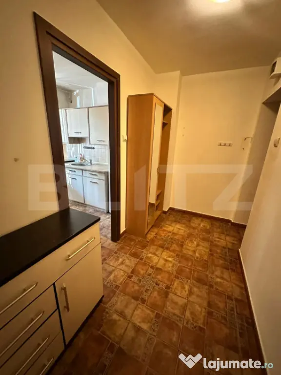 Apartament cu 2 camere, 50 mp, Central - Timisoara (Timis)