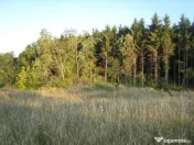 Oportunitate de Investiție – Teren Intravilan 5.700 mp, C 