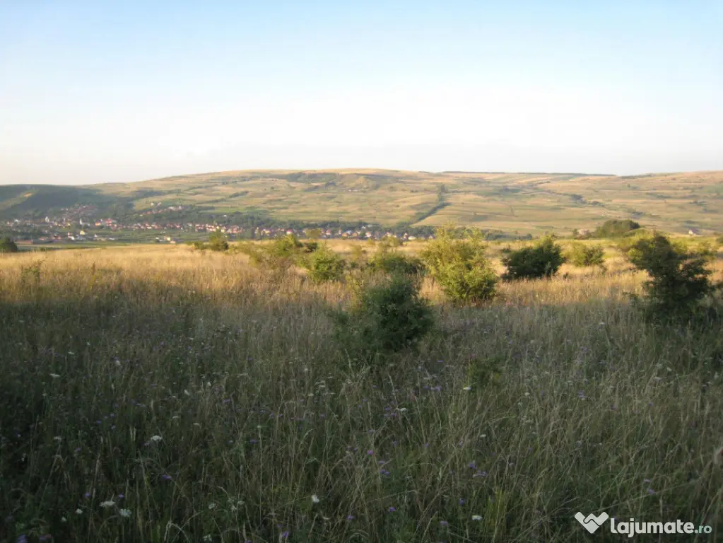 Oportunitate de Investiție – Teren Intravilan 5.700 mp, C - Chinteni (Cluj)