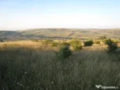 Oportunitate de Investiție – Teren Intravilan 5.700 mp, C 