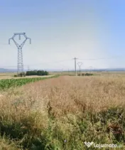 Teren - 5.000 mp , Fratoștița 