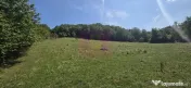 Teren intravilan de vanzare 2500 mp in Banesti