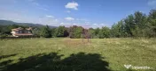 Teren intravilan de vanzare 2500 mp in Banesti