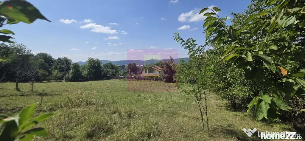 Teren intravilan de vanzare 2500 mp in Banesti - Banesti (Prahova)