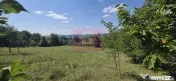 Teren intravilan de vanzare 2500 mp in Banesti 