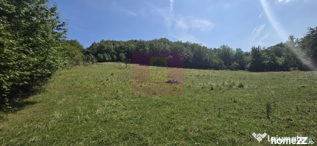 Teren intravilan de vanzare 2500 mp in Banesti - Banesti (Prahova)