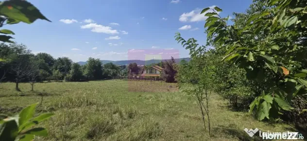 Teren intravilan de vanzare 2500 mp in Banesti - Banesti (Prahova)
