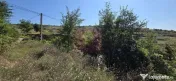 Teren intravilan 4.029 mp de vanzare, zona Crama Seciu