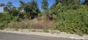 Teren intravilan 4.029 mp de vanzare, zona Crama Seciu