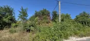 Teren intravilan 4.029 mp de vanzare, zona Crama Seciu