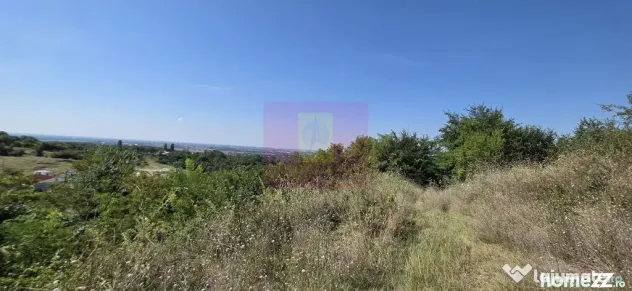 Teren intravilan 4.029 mp de vanzare, zona Crama Seciu - Boldesti Scaeni (Prahova)