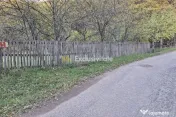 Teren 600mp intravilan - Balotesti 