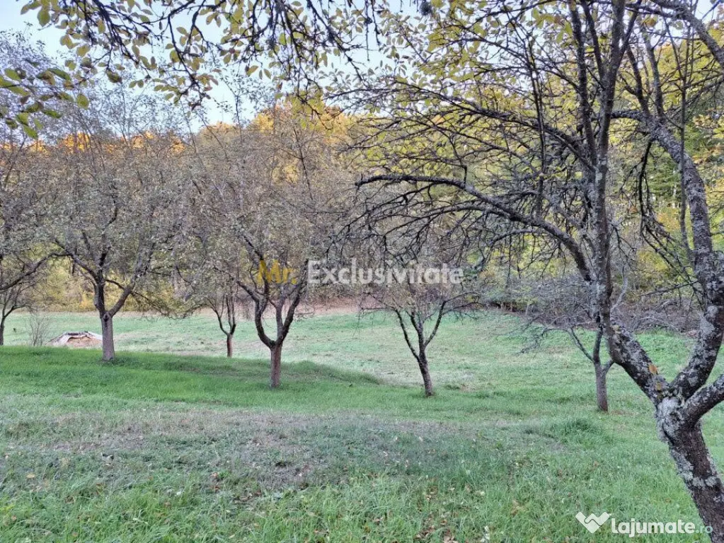 Teren 600mp intravilan - Balotesti - Pitesti (Arges)
