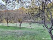 Teren 600mp intravilan - Balotesti 