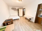 Apartament cu o cameră Bucovina