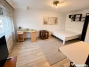 Apartament cu o cameră Bucovina 
