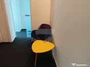Spațiu de Birouri Premium în Herăstrău