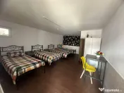 Afacere la Cheie / Centru de Batrani 30 de Camere / Lenauhei 