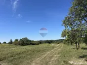 Teren intravilan 3798mp | UNGURAS MARAMURES LA 50M DE ASFALT 