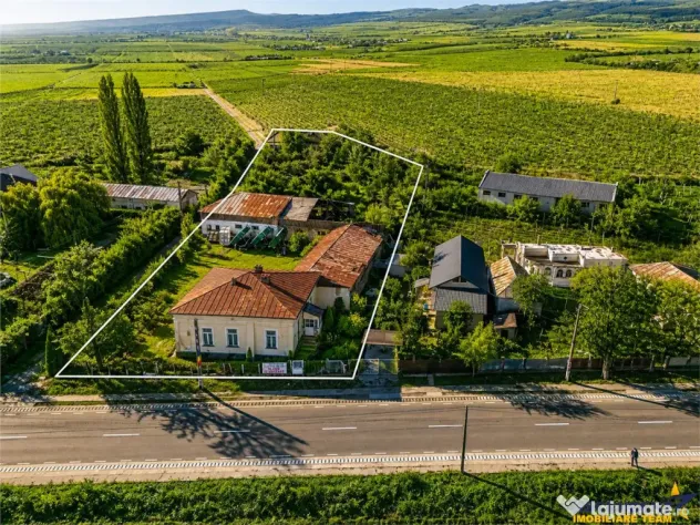 FILM! Domeniu de 4.000 mp intravilan casa autentica, in pod - Vartescoiu (Vrancea)