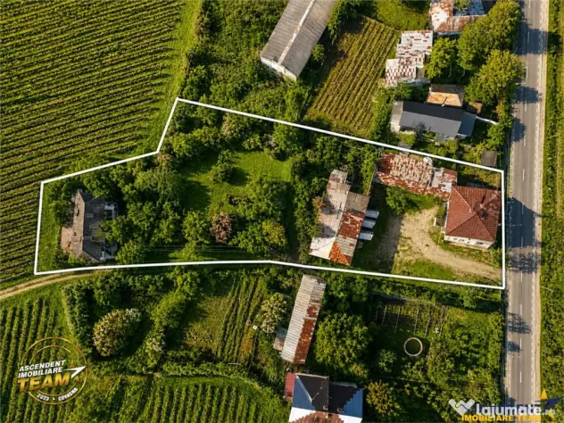 FILM! Domeniu de 4.000 mp intravilan casa autentica, in pod - Vartescoiu (Vrancea)