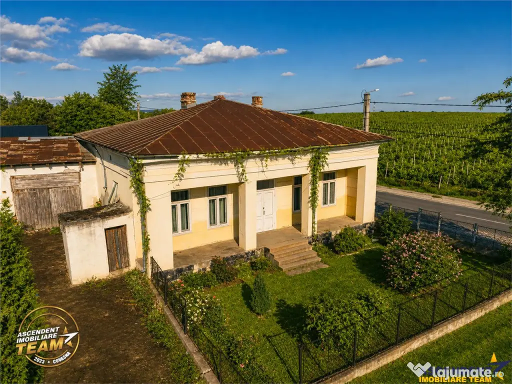 FILM! Domeniu de 4.000 mp intravilan casa autentica, in pod - Vartescoiu (Vrancea)